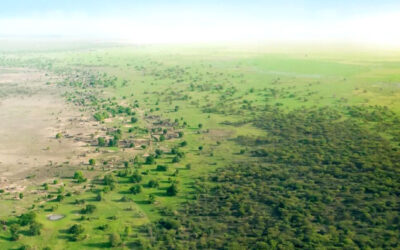 The Great Green Wall